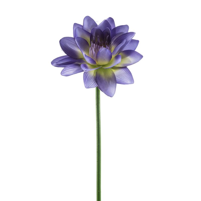 Lotus spray blue 80cm