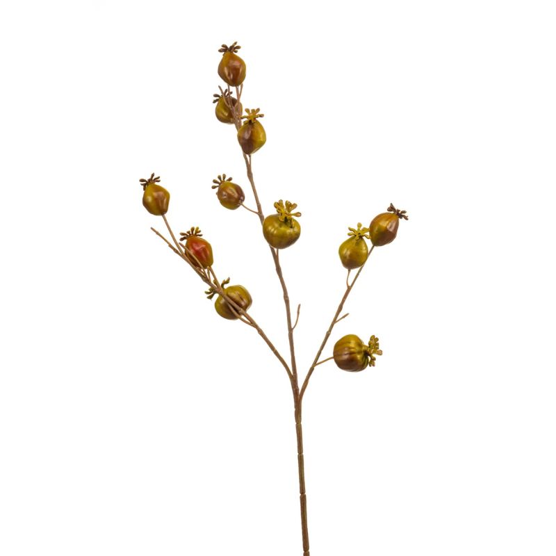 Poppy seed spray brown/green 70cm