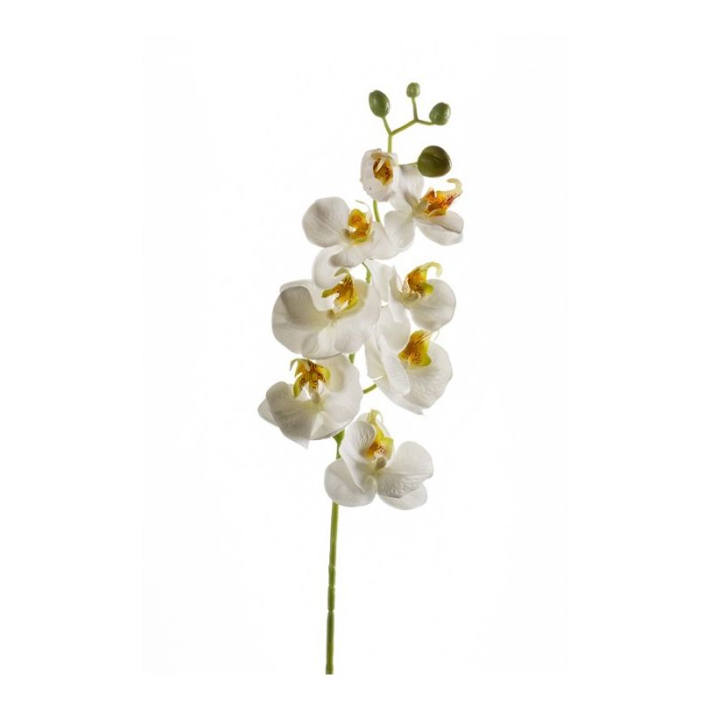 Phalaenopsis spray white 68cm