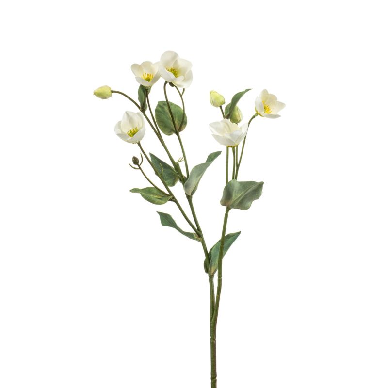 Helleborus spray white 52cm