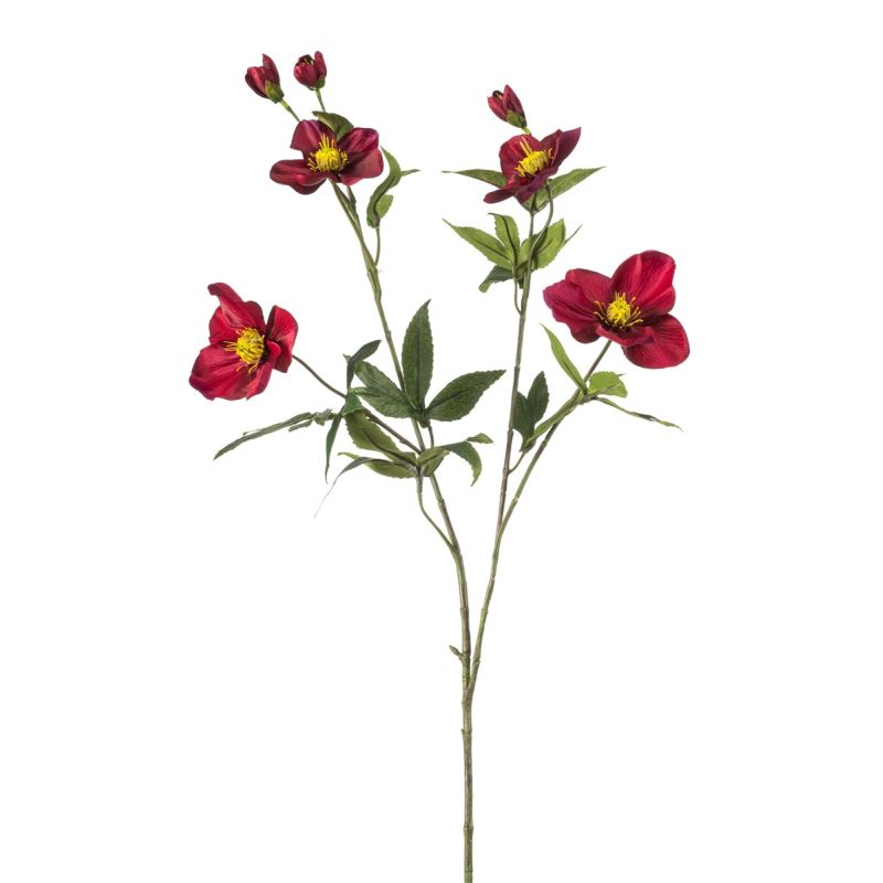 Helleborus spray fuchsia 90cm