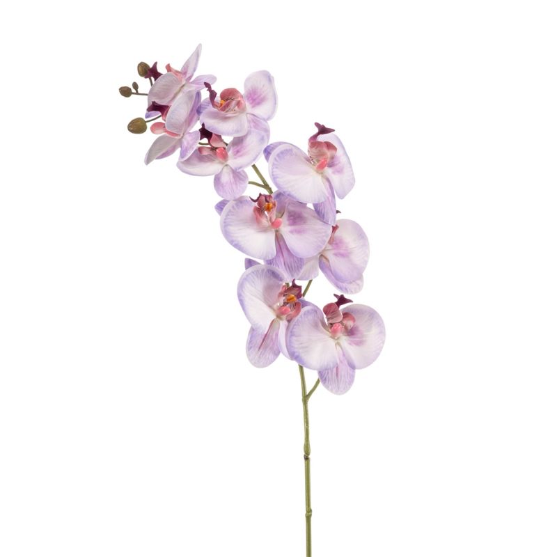Phalaenopsis spray purple 95cm