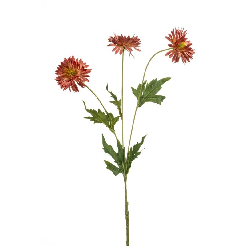 Centaurea spray mauve 75cm