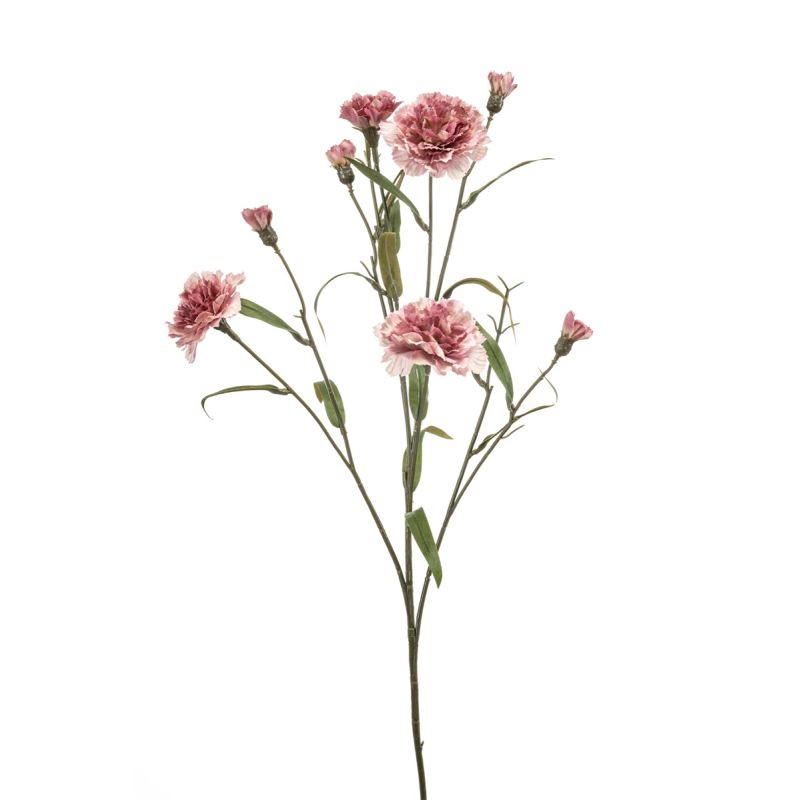 Dianthus spray old pink 70cm