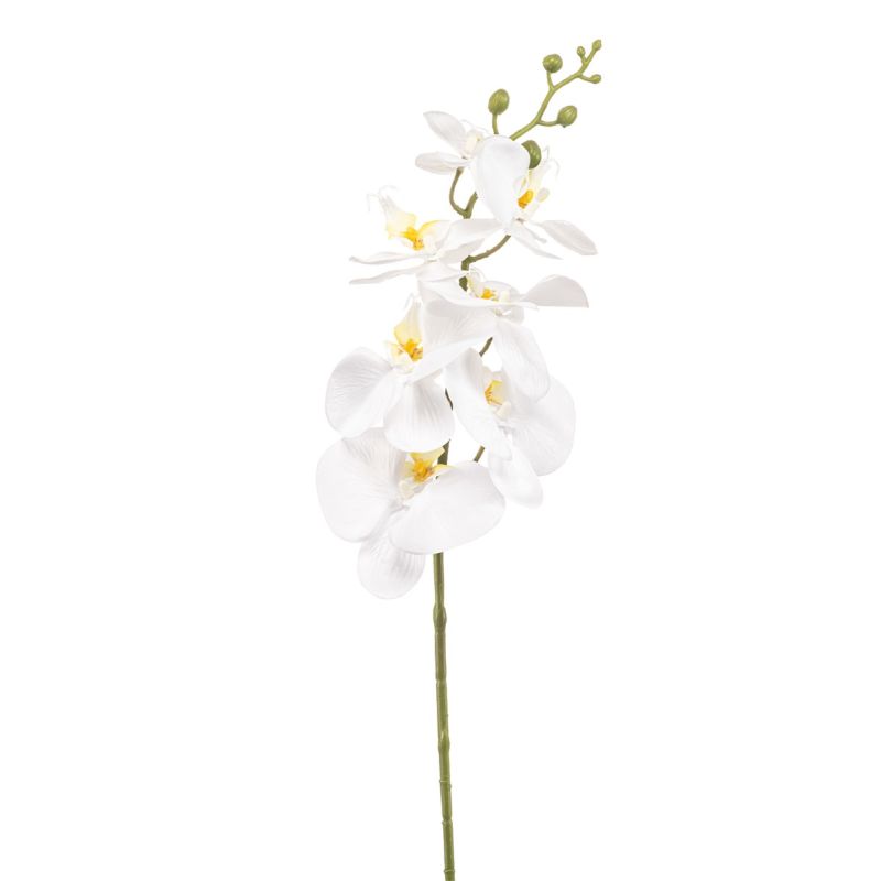 Phalaenopsis spray white 84cm