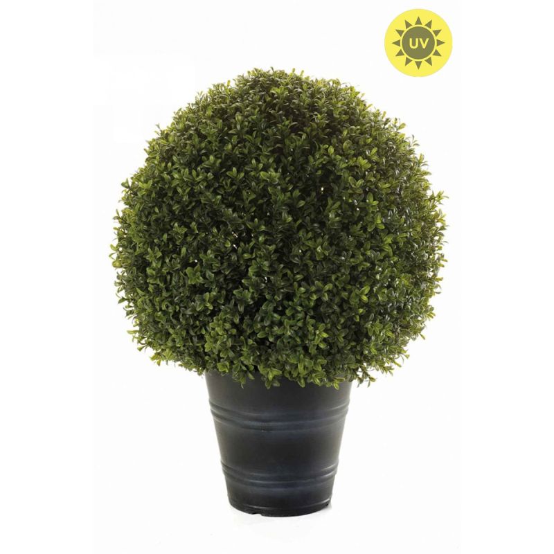 Boxwood ball UV d50 in pot 68cm