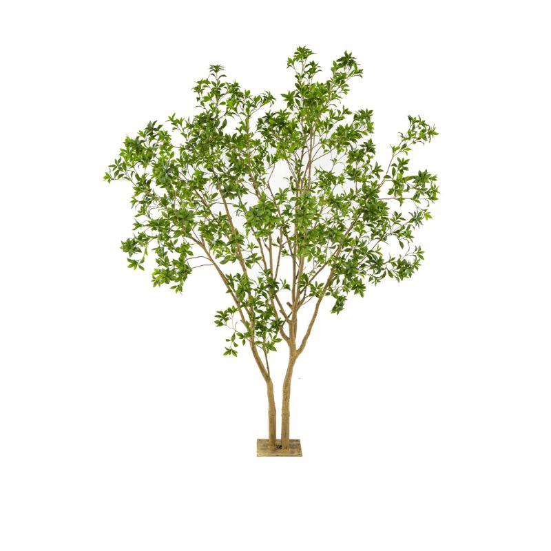 Laurel multi trunk tree 285cm (knock down packing)
