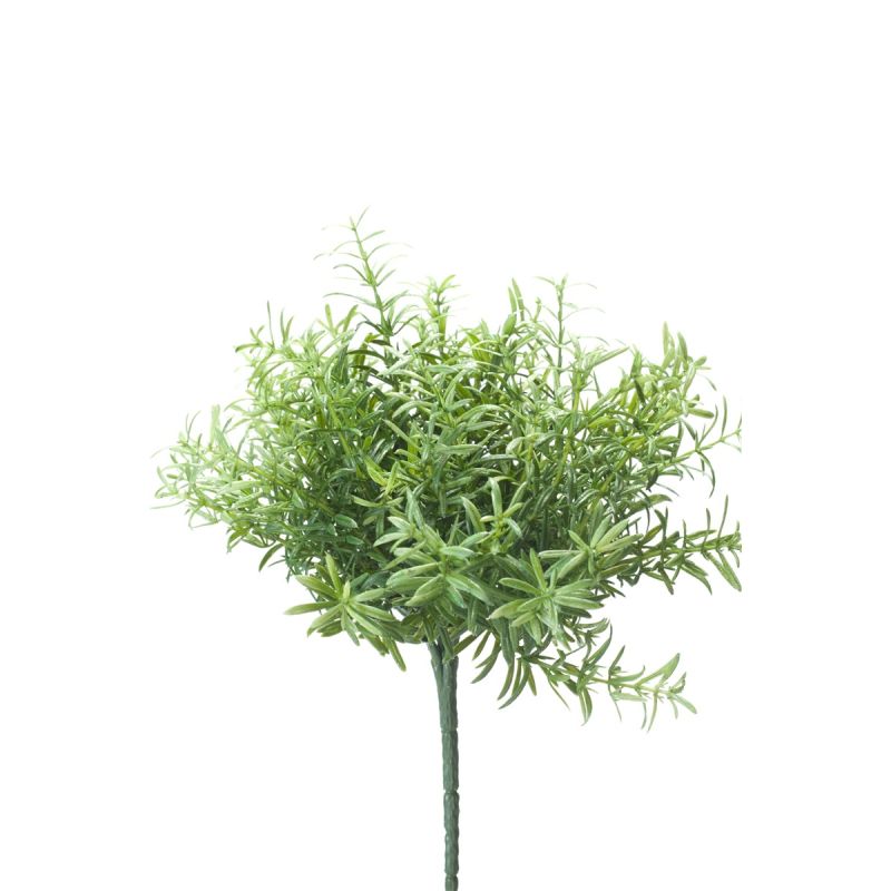 Rosemary bush lt green 22cm