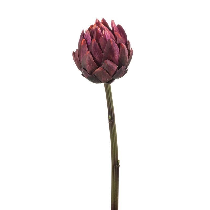 Artichoke spray rt burgundy 58cm