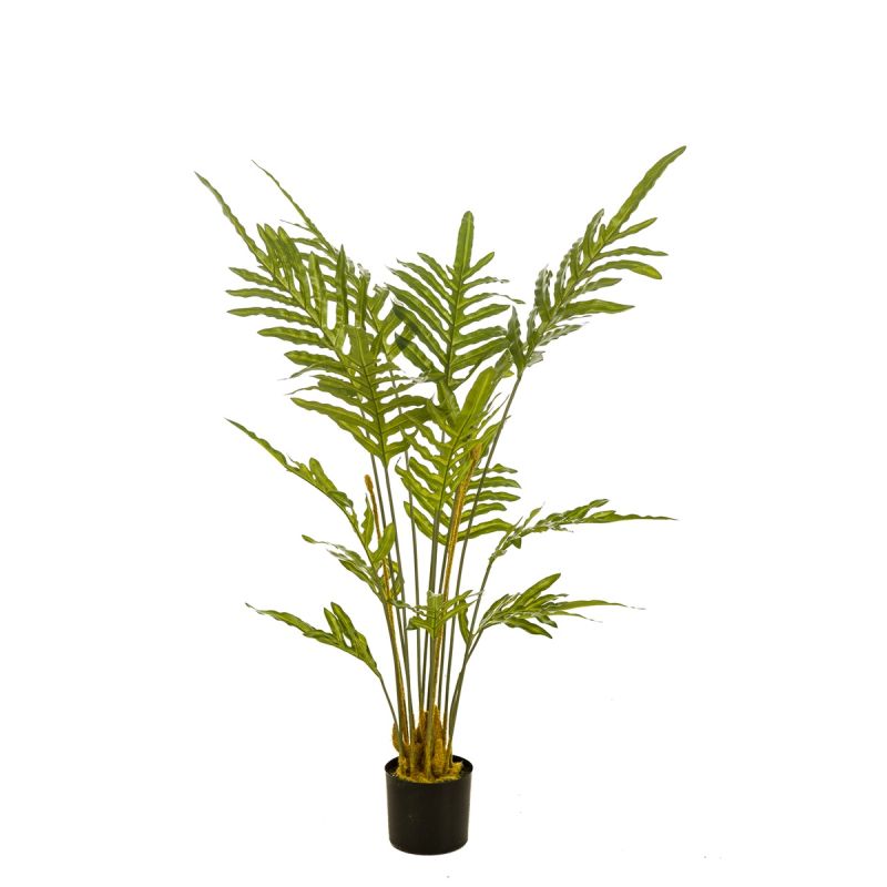 Fern plant 120cm
