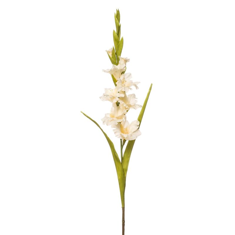 Gladiolus spray cream 93cm