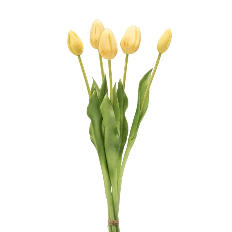 Tulip bundle x5 lt yellow 43cm