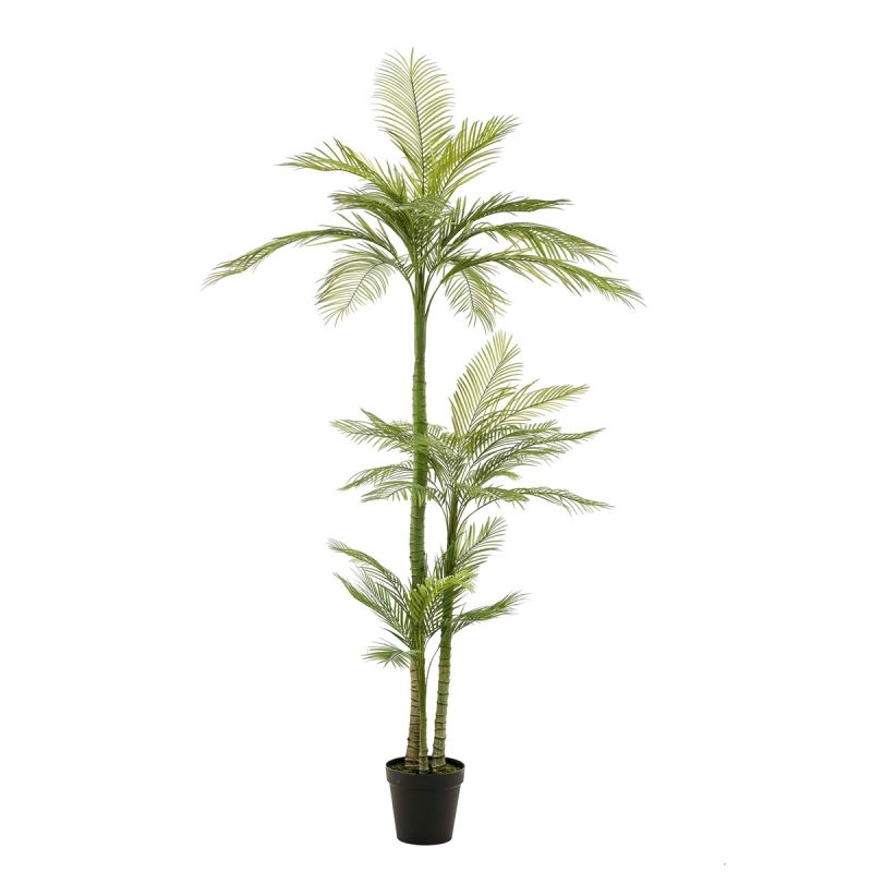 Palm phoenix deluxe x3 245cm (knock down packing)