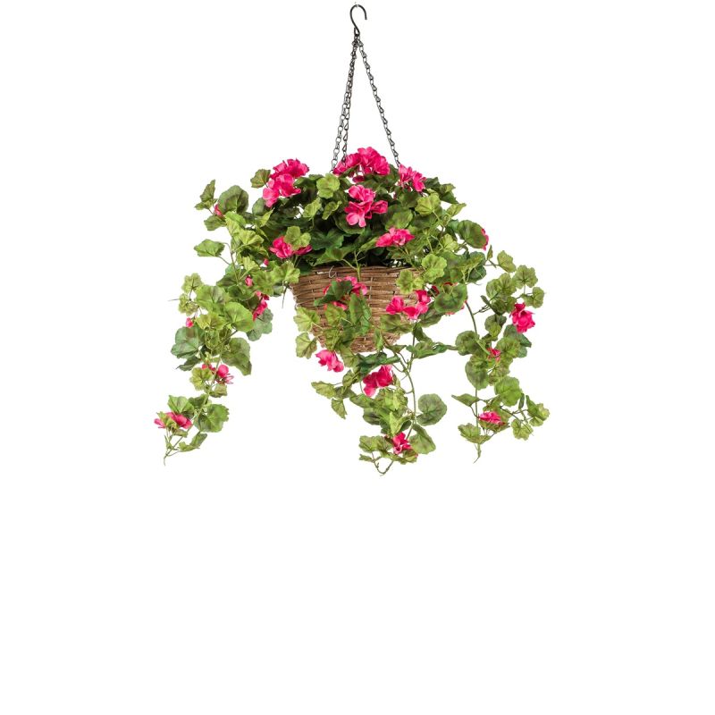 Geranium in hanging basket fuchsia 70cm