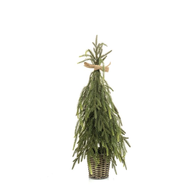 Pine tree in pot 65cm