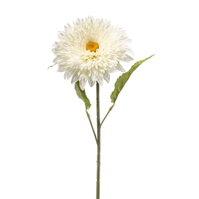 Helianthus spray white 65cm