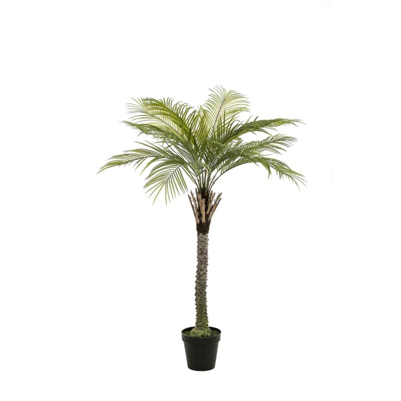 Phoenix palm deluxe 160cm (knock-down packing)