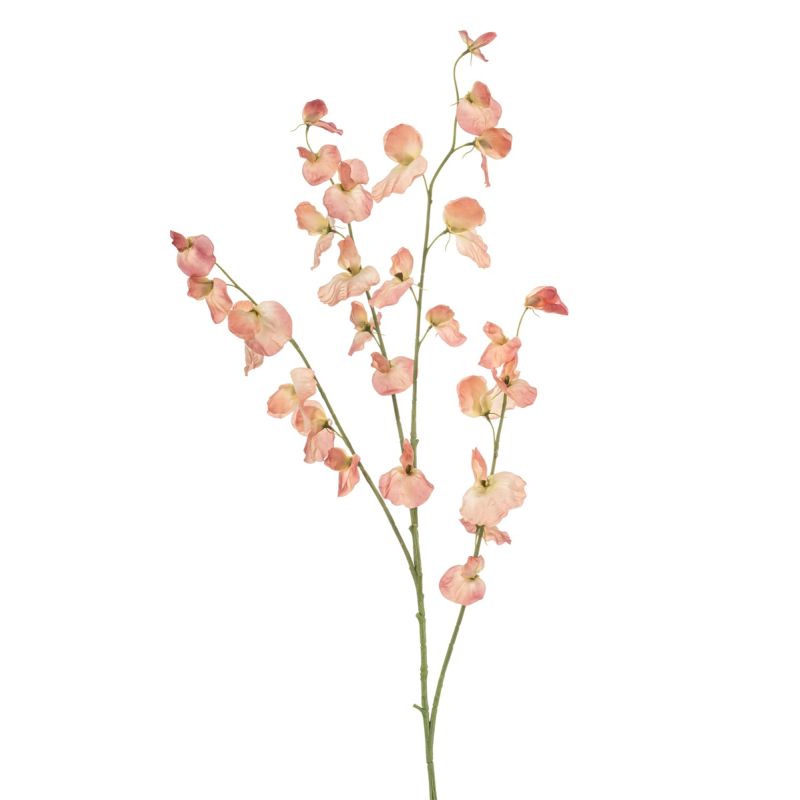 Lathyrus spray peach  113cm
