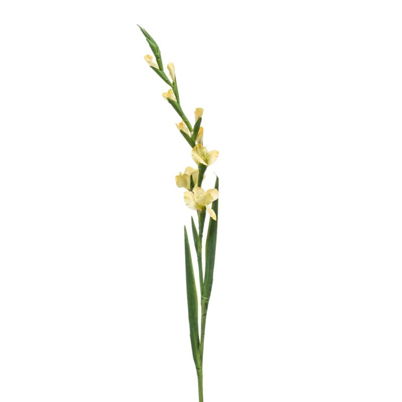 Gladiolus spray yellow 128cm