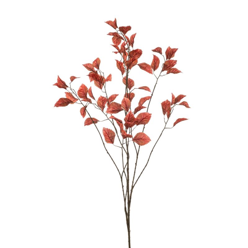 Fagus lvs spray coral 135cm