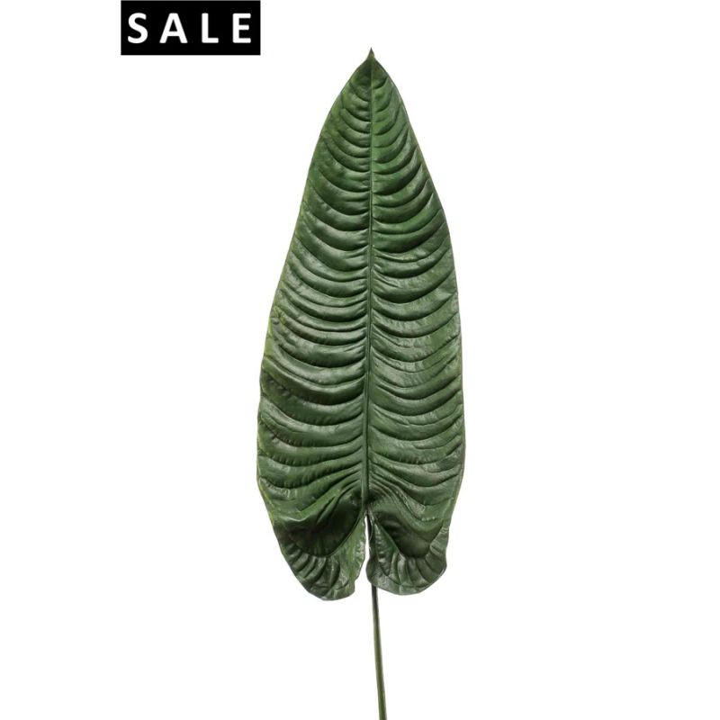 Elephant ear leaf dk green 105cm