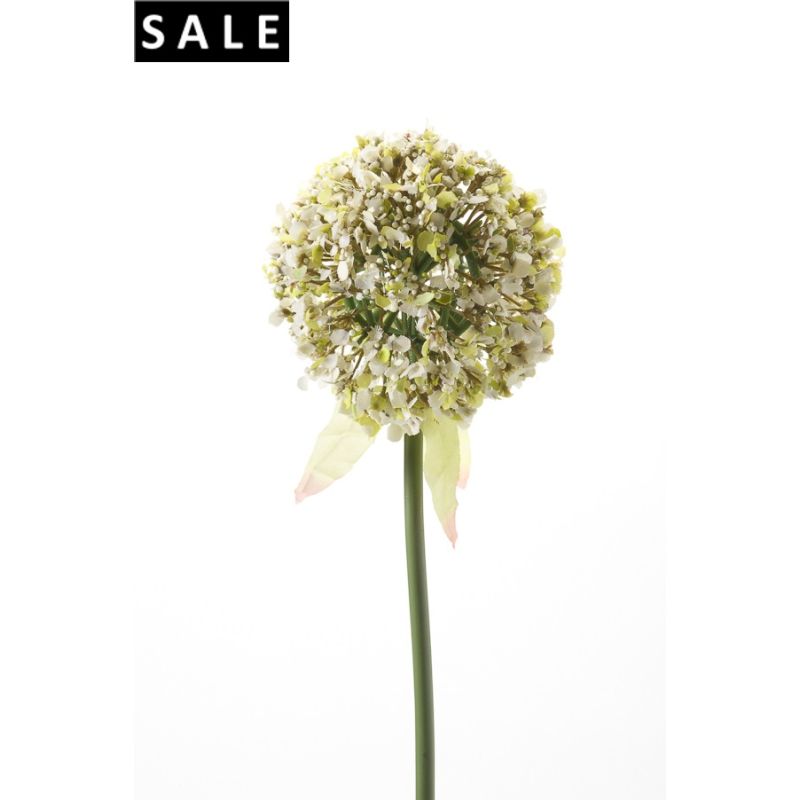 Allium spray 70cm white