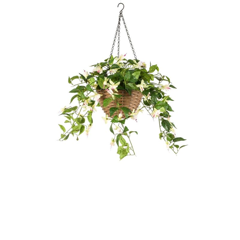Fuchsia in hanging basket cream/pink 70cm