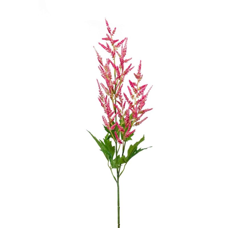 Astilbe spray dk pink 90cm