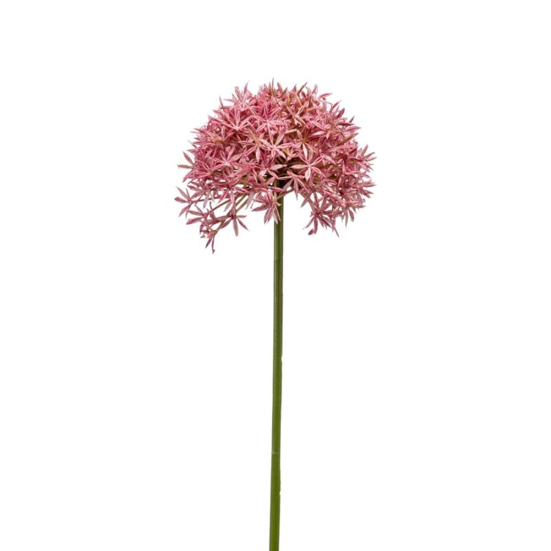 Allium spray pink 62cm