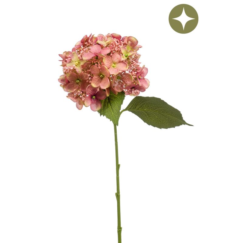 Hydrangea spray old pink 50cm
