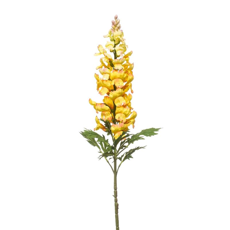 Antirrhinum spray yellow 92cm