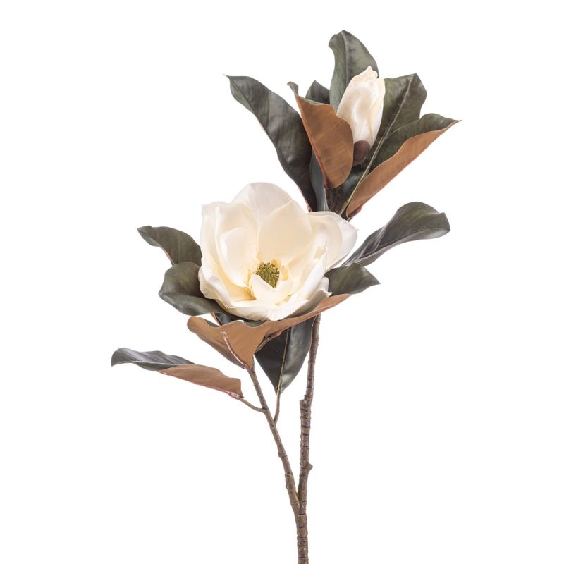 Magnolia spray cream 85cm