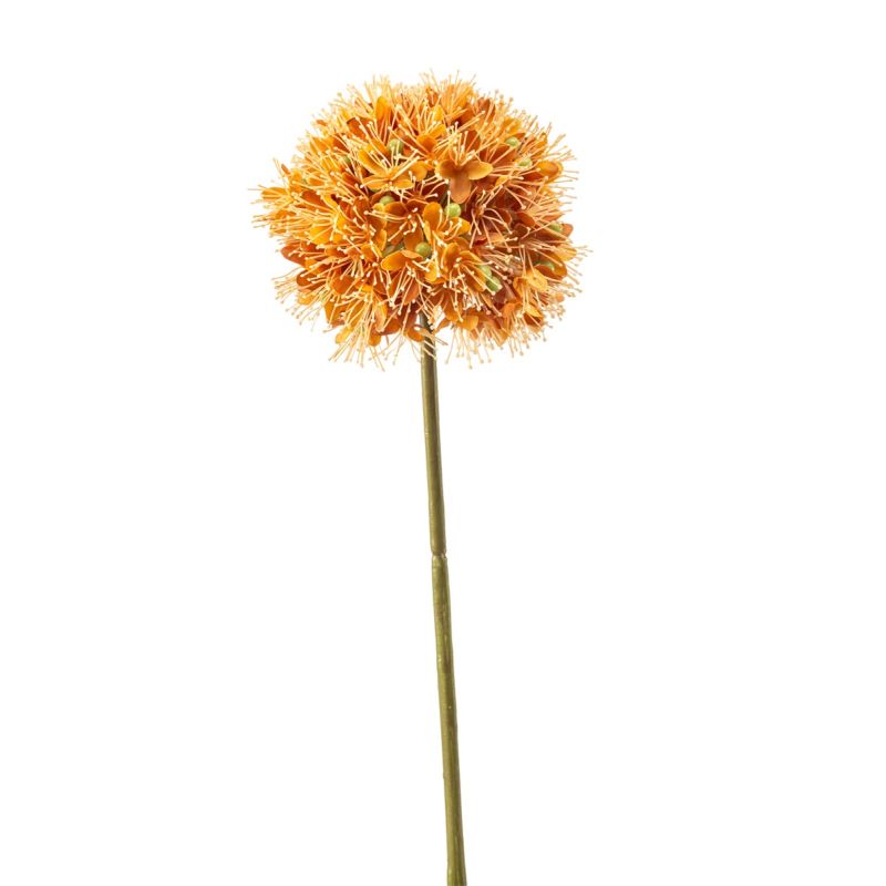 Allium spray orange 63cm