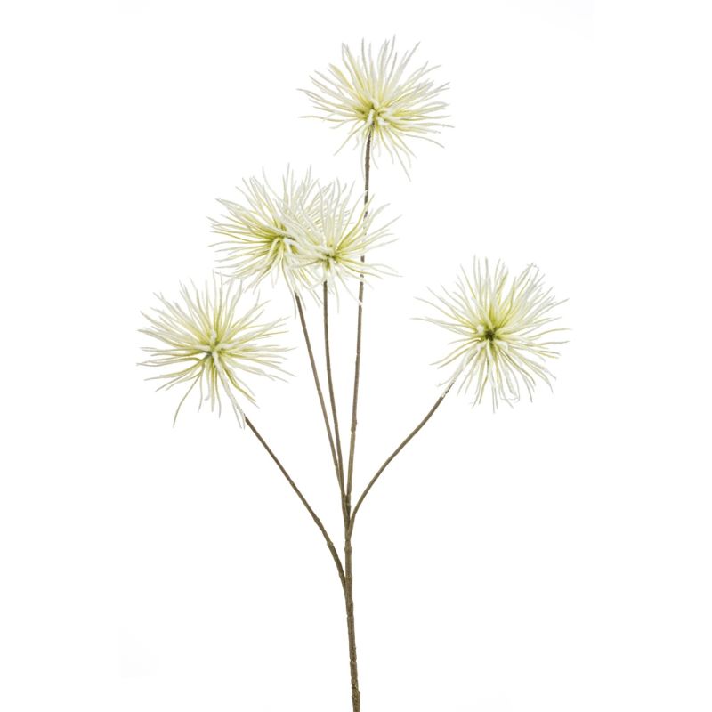 Anemone seed spray cream 97cm