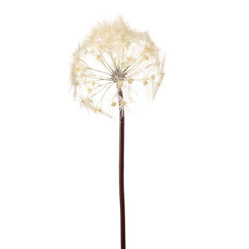 Dandelion spray cream 91cm