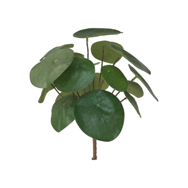 Pilea bush 22cm