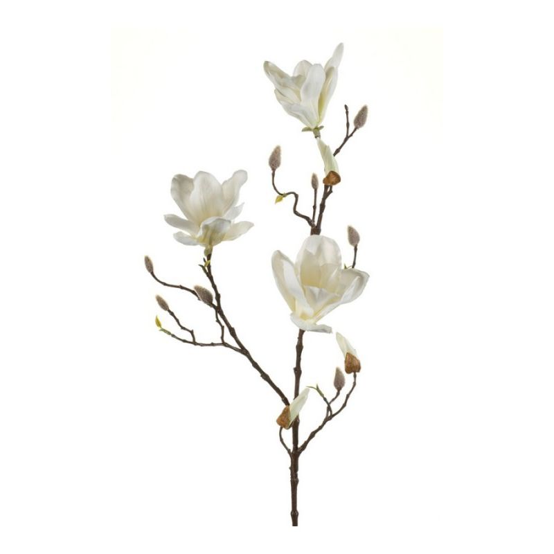 Magnolia spray cream 90cm