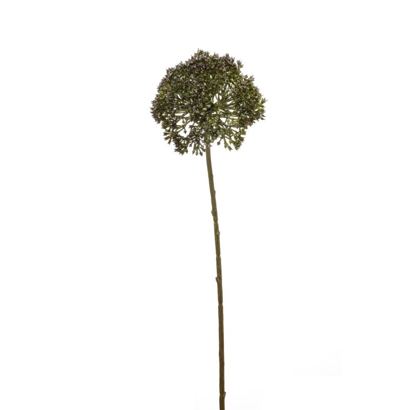 Allium spray green 63cm