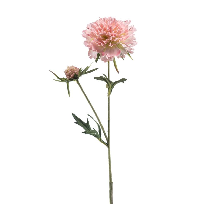 Scabiosa spray lt pink 57cm