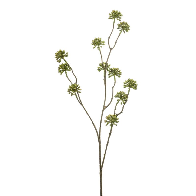 Angelica seed spray green 80cm