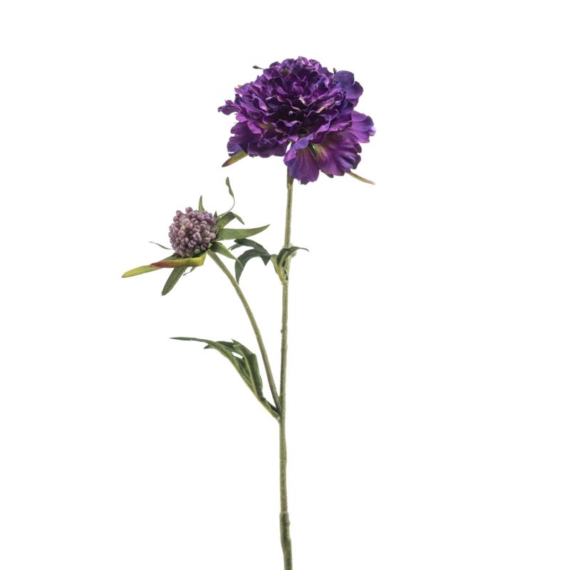 Scabiosa spray purple 57cm