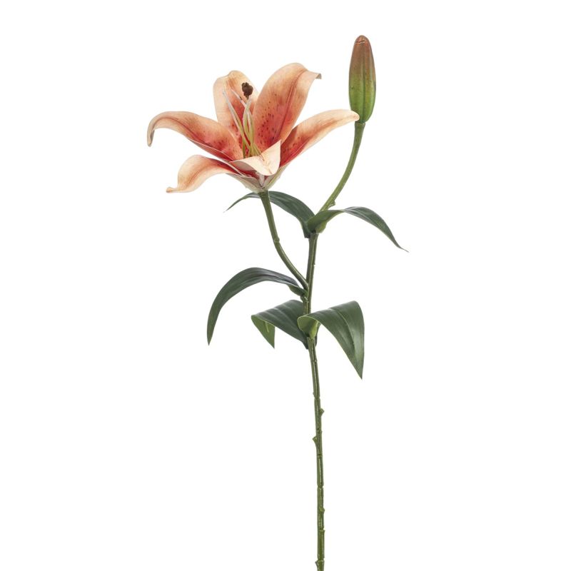 Lily spray orange 56cm