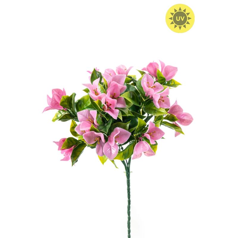 Bougainvillea bush UV pink 30cm