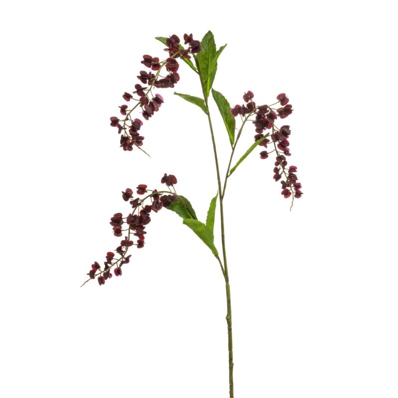 Lepidium spray w lvs burgundy 90cm