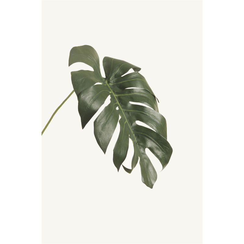 Monstera leaf S dk green 55cm