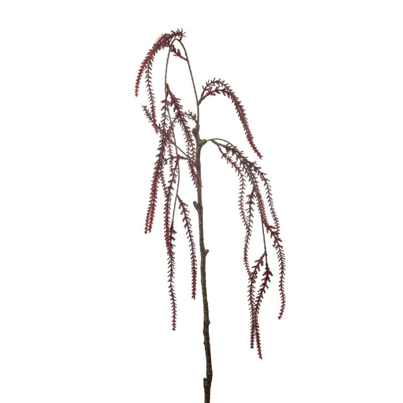 Amaranthus spray burguny 90cm