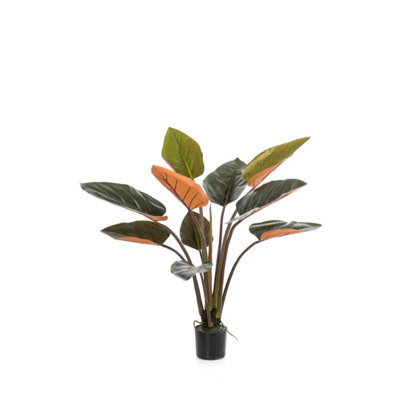 Philodendron plant green/burgundy 120cm