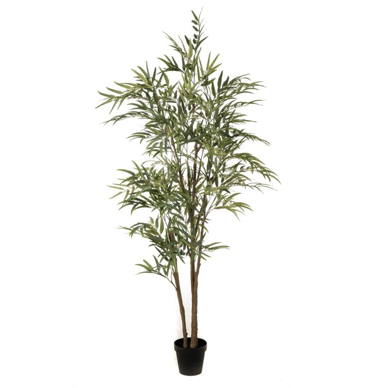 Eucalyptus 210cm (knock down packing)