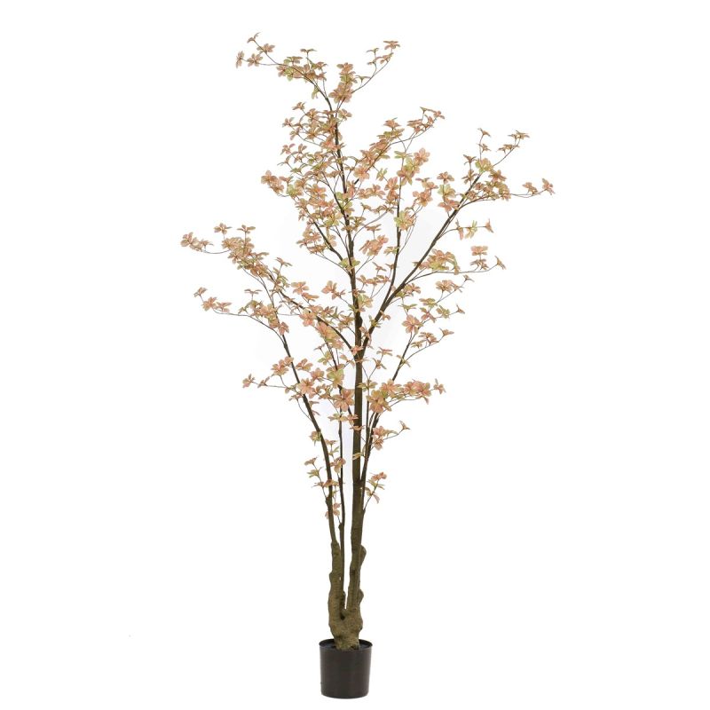 Tropaeolum plant peach/green 245cm (knock down packing)