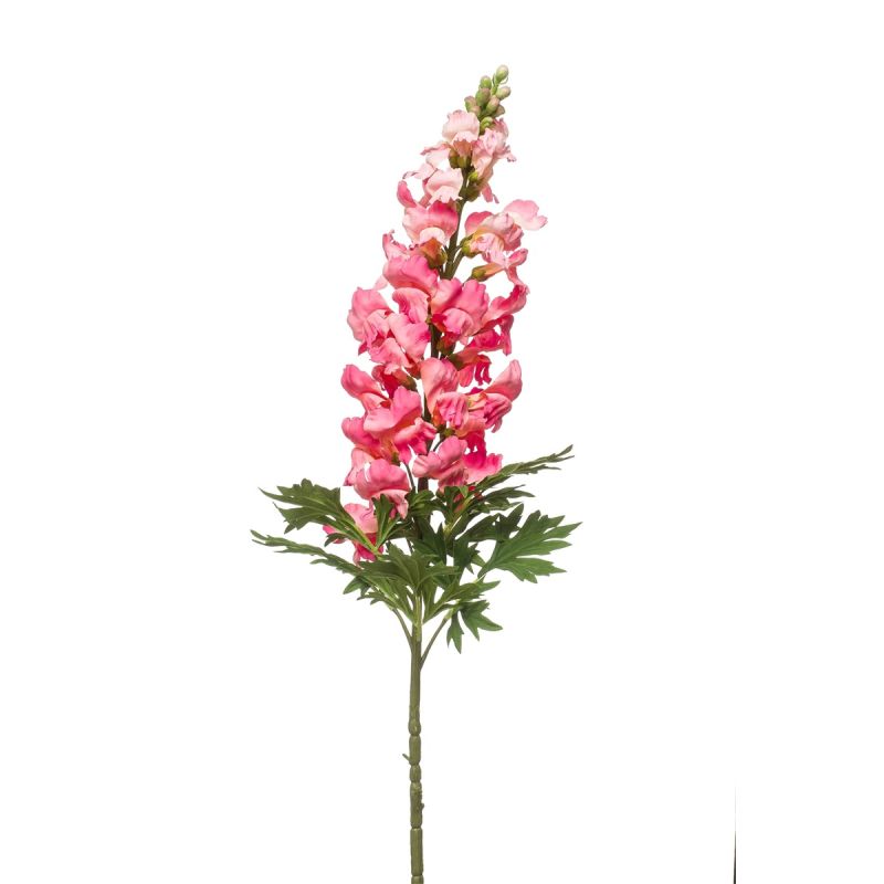 Antirrhinum spray pink 92cm